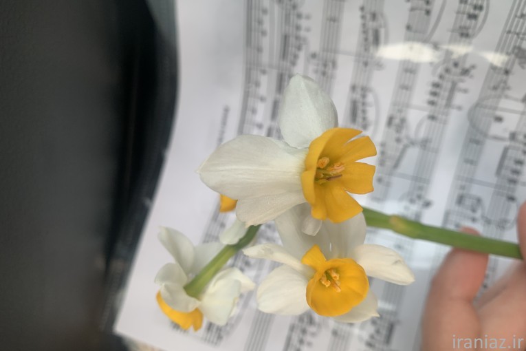 آموزش پیانو