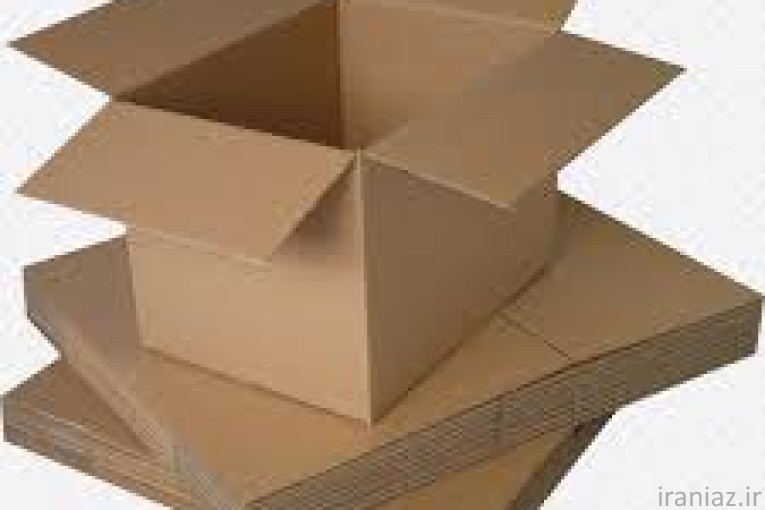 کارتن سازی کوشا