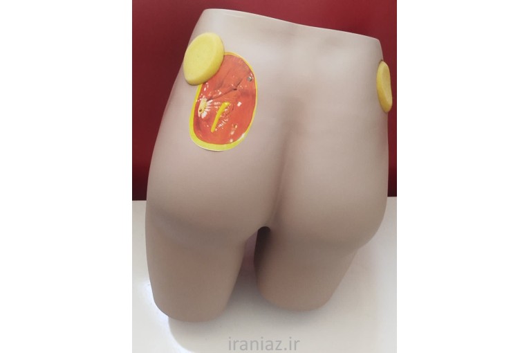 مدل آموزش تزریق عضلانی ( باتکس )