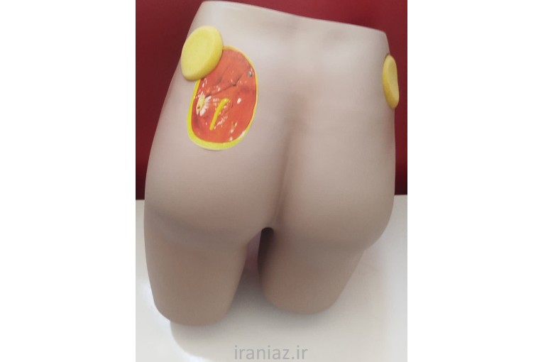 مدل آموزش تزریق عضلانی ( باتکس )