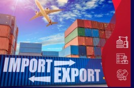 صادرات و واردات، ترخیص فوری کالا