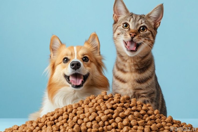 پت‌ شاپ چمستان بامشی 