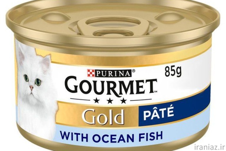 پت‌ شاپ چمستان بامشی 