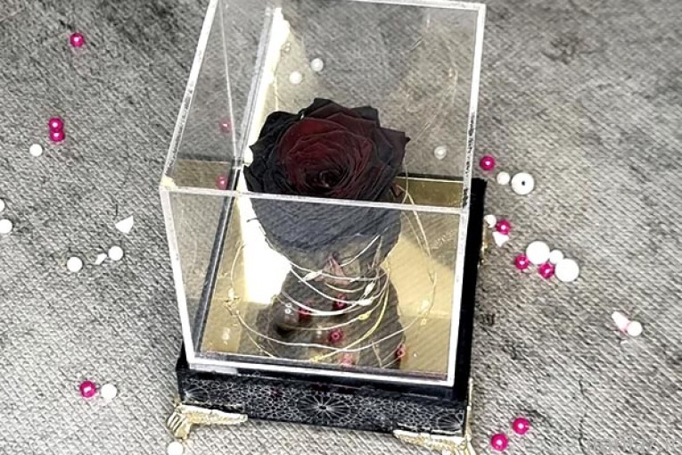 گل رزجاودان باکس مشکی