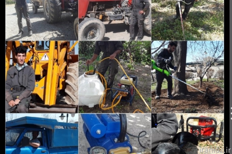 باغبانی هرس سمپاشی