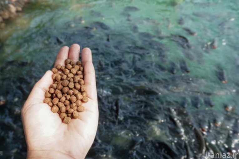 کارخانه تولید خوراک آبزیان مهادان