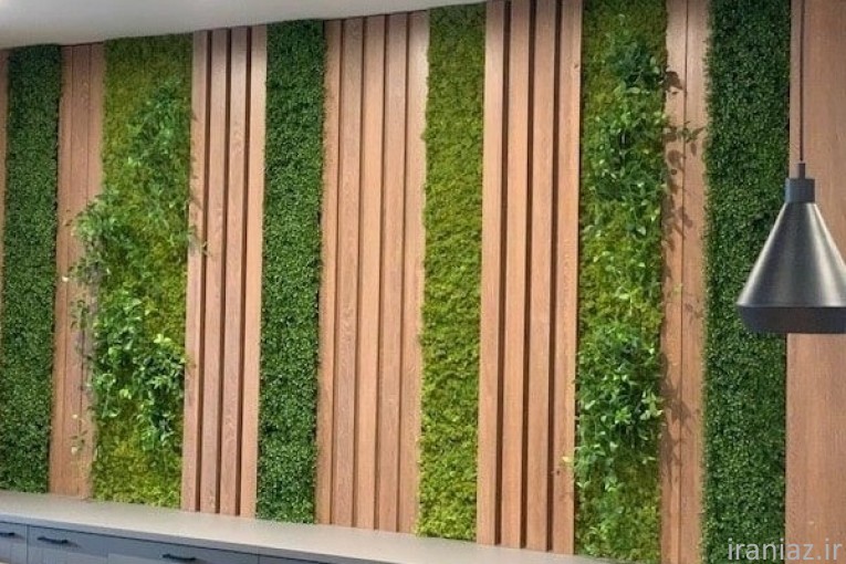 گالری شاهان 