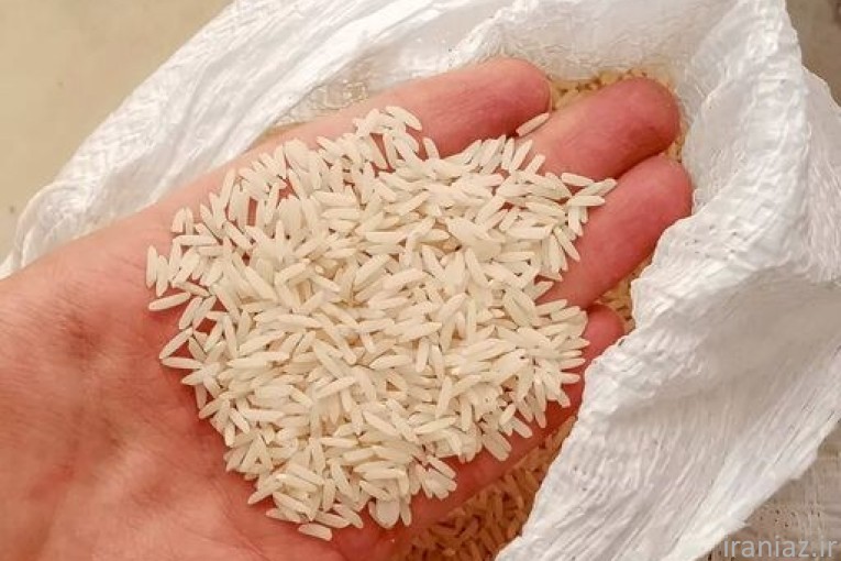 بورس برنج هاشمی سامان 