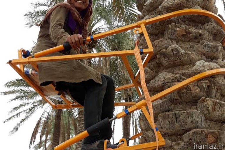 بالابر نخل گلارو LP-60