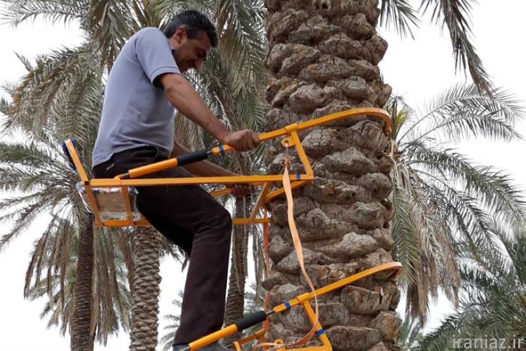 بالابر نخل گلارو LP-60