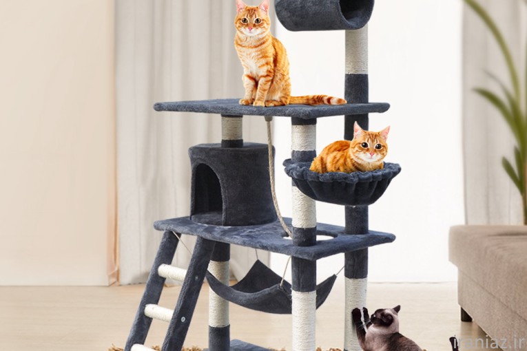 فروش لوازم سگ و گربه