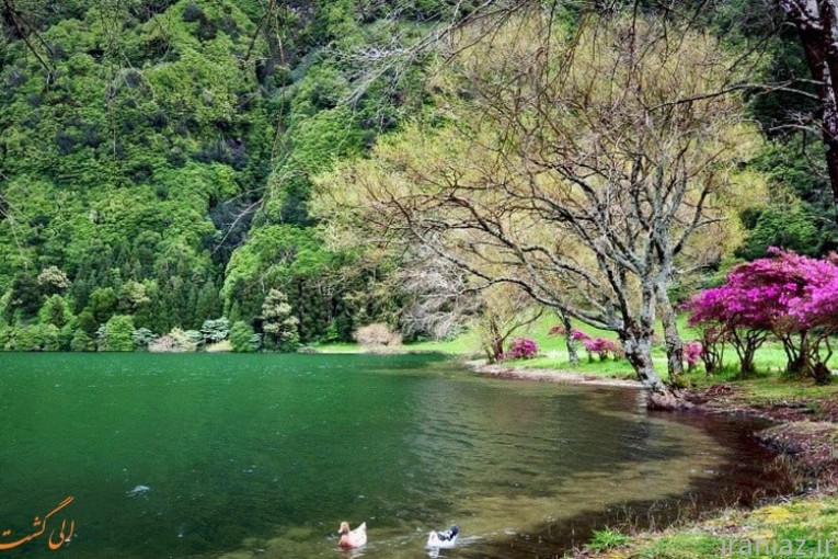 تور ۱روزه بانوان دریاچه شورمست