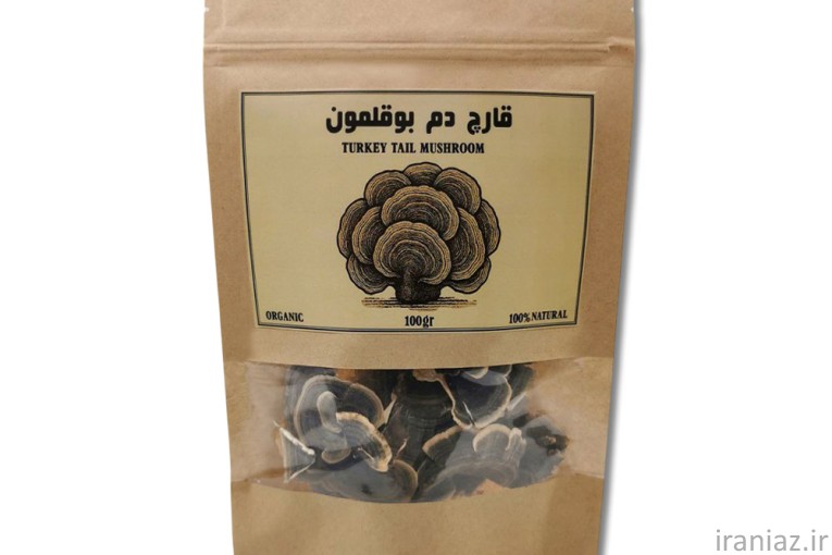 فروش قارچ های دارویی