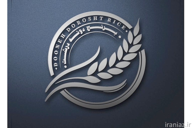 طراحی وب‌ سایت و لوگو،کارت ویزیت