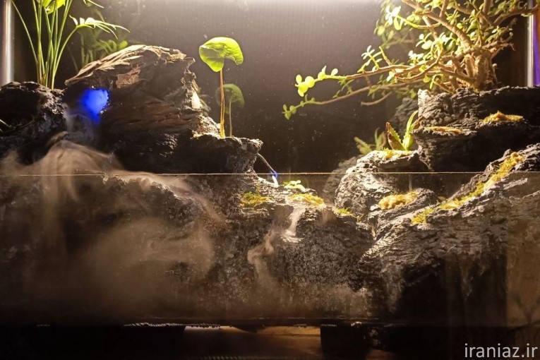 پالاداریوم طبیعت زنده و هوشمند