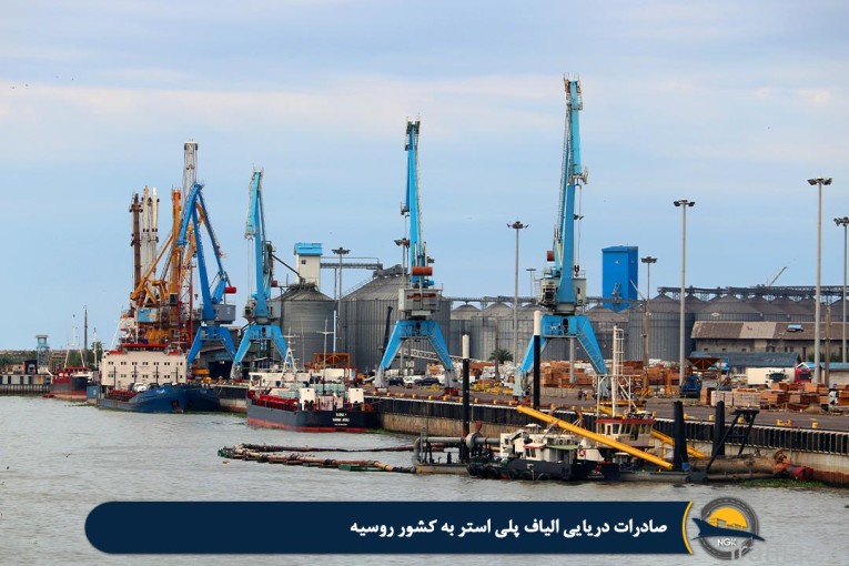 خدمات صادارت، واردات و امور گمرکی