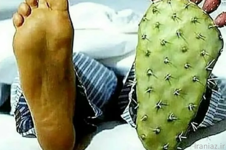 اپیلاسیون پدیکور پارافین تراپی الهیه 