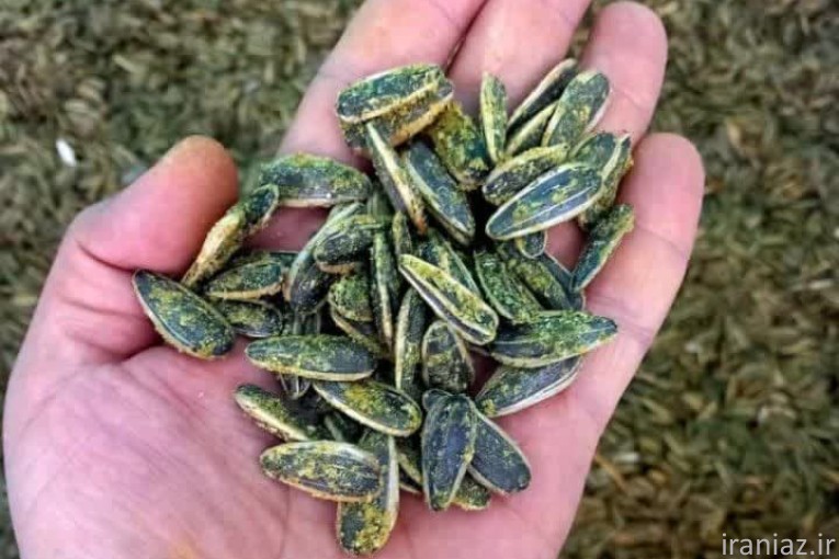  تأمین طعم‌ دهنده‌ های پودری باکیفیت 