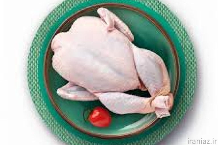 فروش مرغ گرم و مادر منجمد