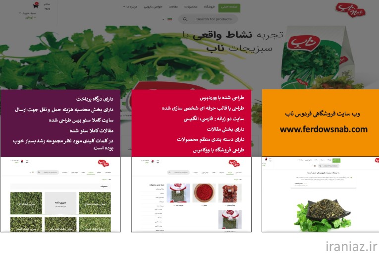 طراحی حرفه ای وب سایت شما