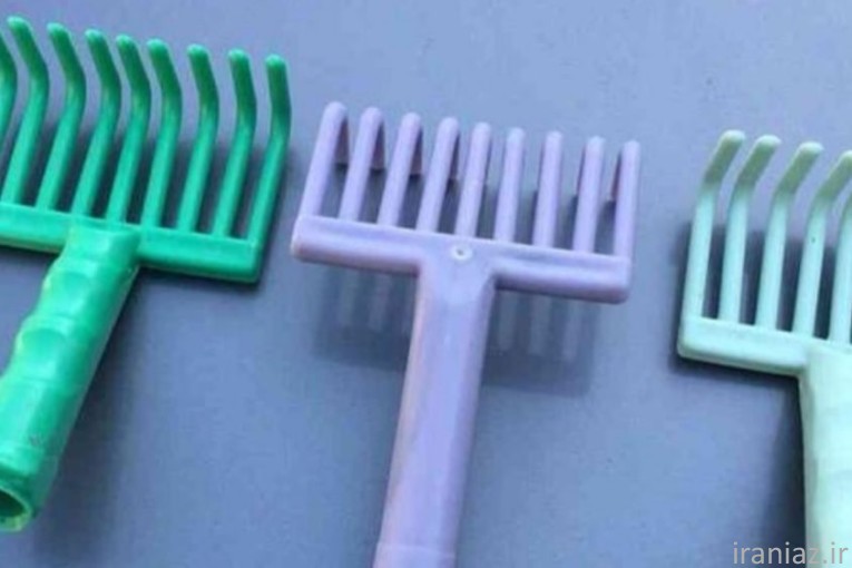 چنگک زیتون چین، شانه