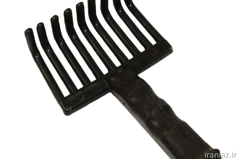 چنگک زیتون چین، شانه