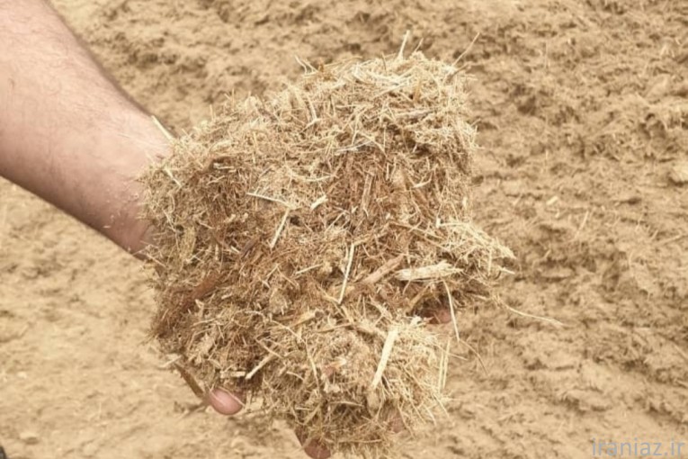 کاه نیشکرباگاس