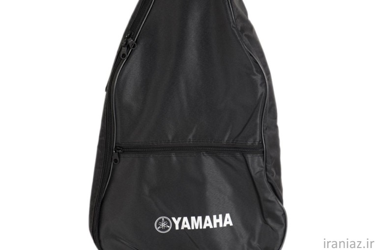 کیف گیتار برزنتی