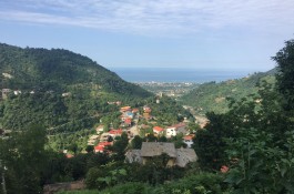 موقعیتی عالی برای شروع بیزینسی پولساز