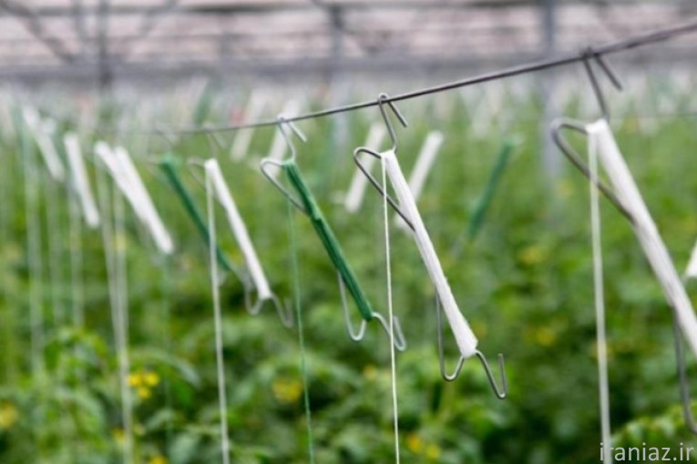 قلاب آویز بوته خیار 
