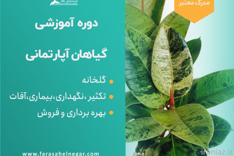 کارگاه  پرورش گیاهان زینتی آپارتمانی