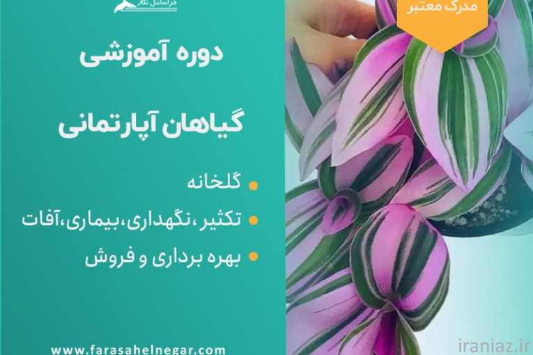 کارگاه  پرورش گیاهان زینتی آپارتمانی