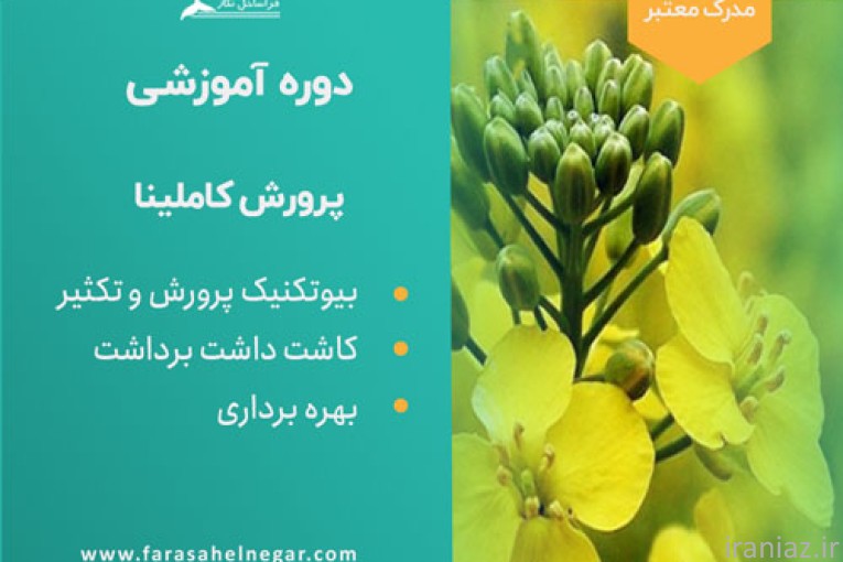 پکیج آموزشی کاملینا
