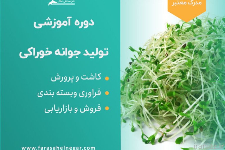  مراحل کاشت جوانه‌ های خوراکی