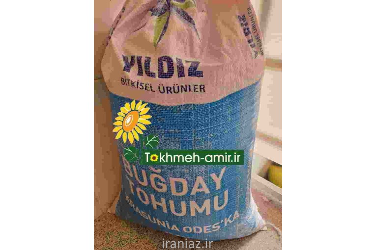 فروش بذرهیبریدگندم