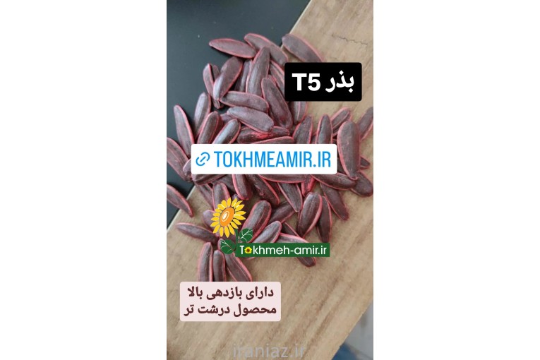 فروش انواع بذرهیبرید تخمه،ذرت