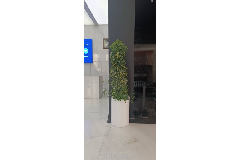 طراحی و اجرای فضای سبز 