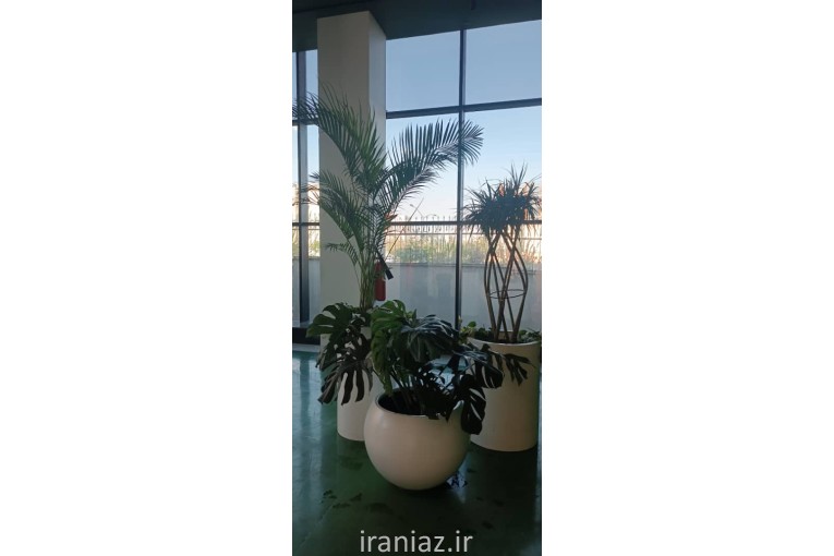 طراحی و اجرای فضای سبز 