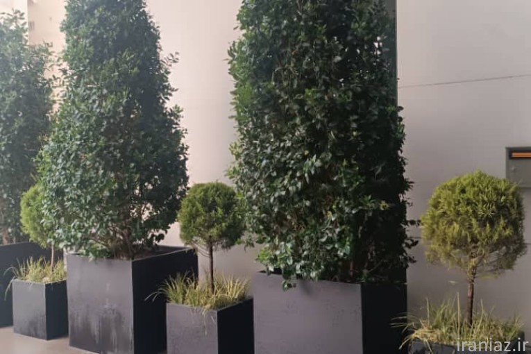 طراحی و اجرای فضای سبز 