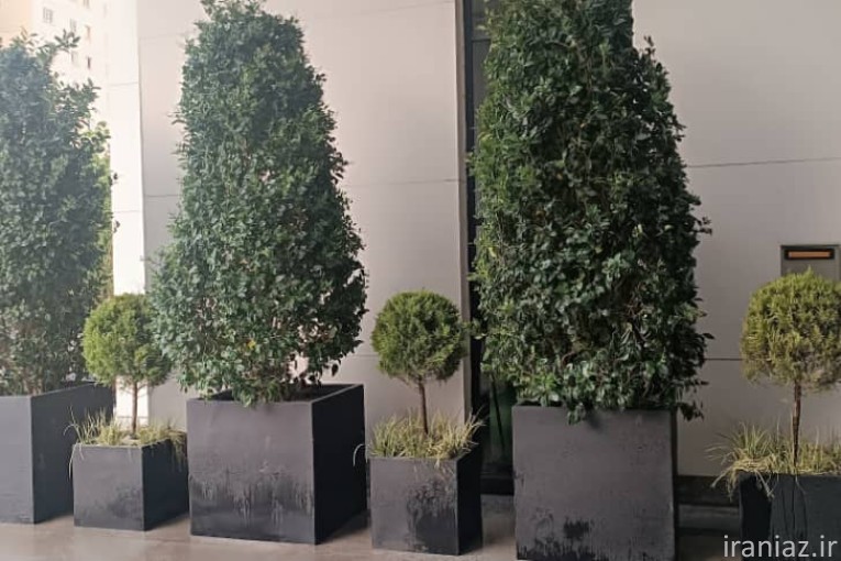 طراحی و اجرای فضای سبز 