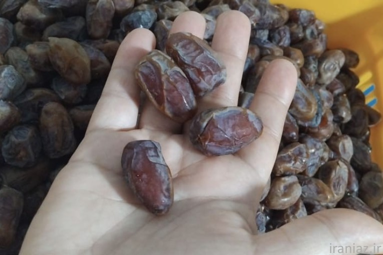 فروش خرما کبکاب درجه یک دشتستان