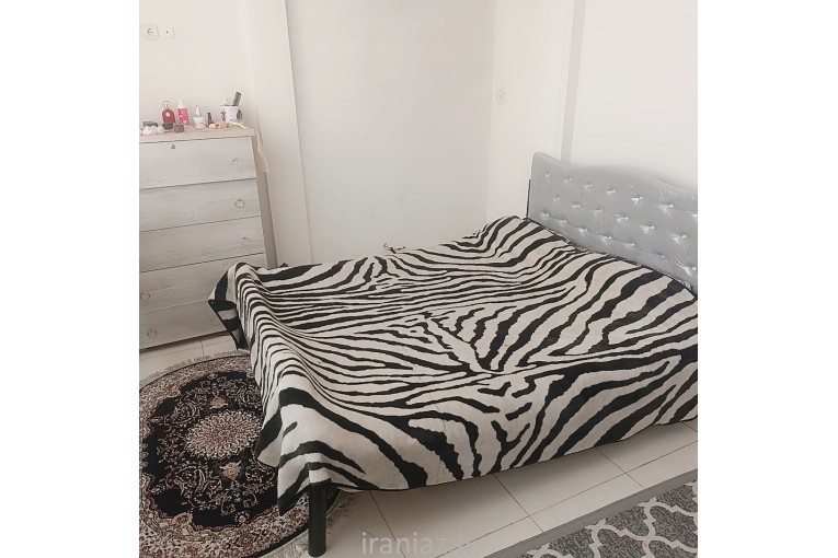 هم خونه خانم 