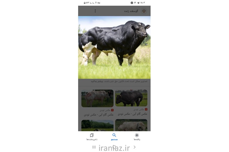 خدمات تلقیح مصنوعی شعبانی