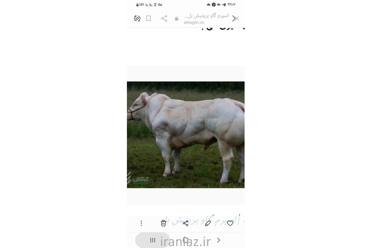 خدمات تلقیح مصنوعی شعبانی