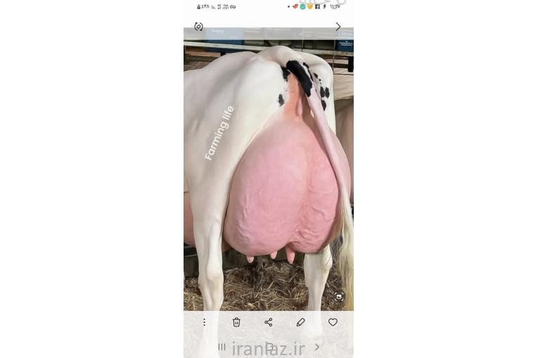 خدمات تلقیح مصنوعی گاک