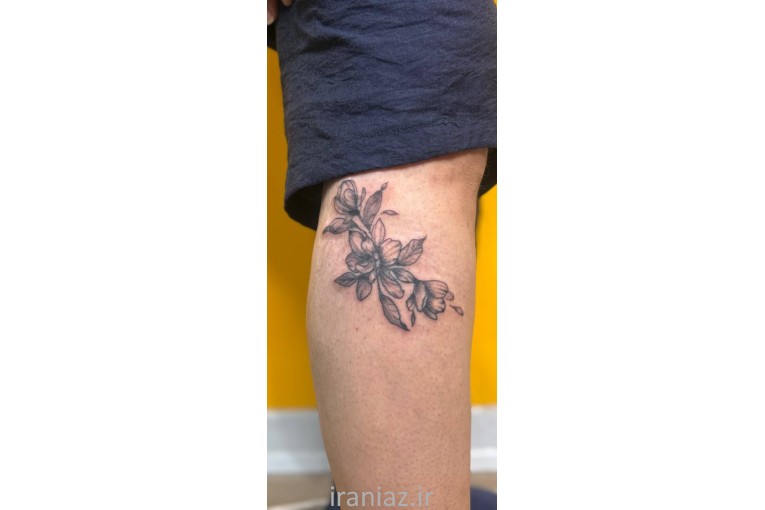 مدل برای اجرای تتو