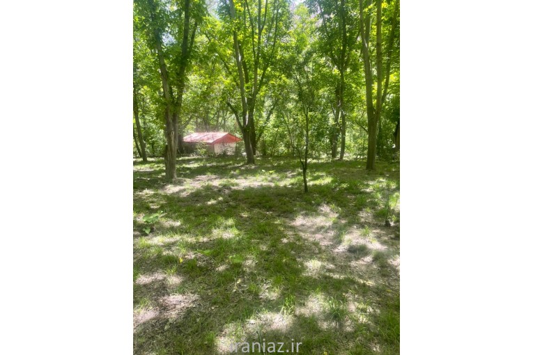 باغ بهمراه بناقدیمی و سندتک برگ فروشی