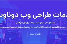 کارآموزی سئو و طراحی سایت در دوناوب