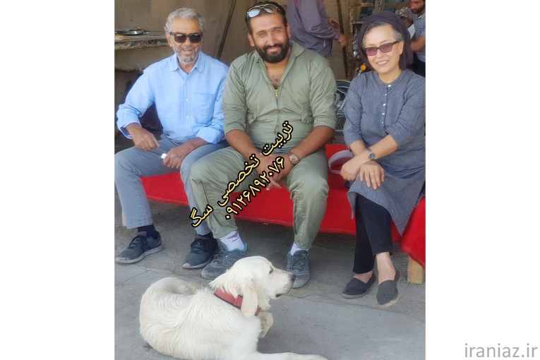 مرکز آموزش و نگهداری سگ و گربه