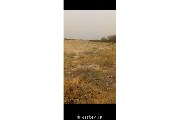 زمین باغی 